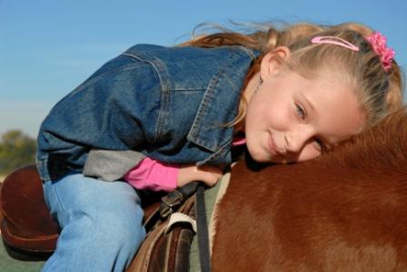 Pferdehaftpflichtversicherung